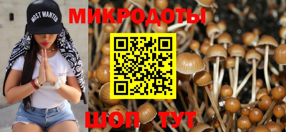 Псилоцибиновые грибы прущие грибы  Псилоцибиновые грибы мицелий  Вход с VPN  Валуйки 